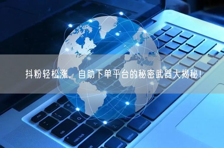 抖粉轻松涨，自助下单平台的秘密武器大揭秘！
